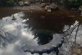 Traktorska guma u jezeru u Dudovoj šumi