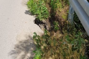 Veliki Radanovac - problemi