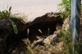Veliki Radanovac - problemi