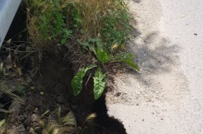 Veliki Radanovac - problemi