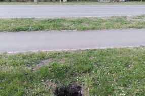 Rupa na Segedinskom putu kod Univerexporta