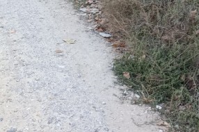 Raskrsnica Bagremove i Kosovske ulice - nastavak radova?