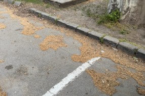 Prljav uži centar grada od železničke stanice