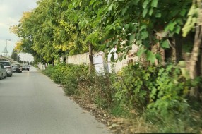 Zarasla javna površina u Mičurinovoj ulici