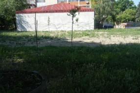 Budući park u gradu...