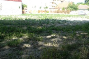 Budući park u gradu...