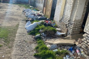 Kućni  otpad, šut, uginule životinje u Velebitskoj ulici