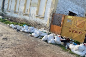 Kućni  otpad, šut, uginule životinje u Velebitskoj ulici