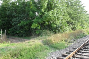 Kako radi inspekcija