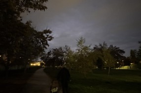 Osvetljenje u parku Prozivka