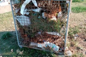 Neodržavano groblje (Crkveni deo) u Dudovoj šumi
