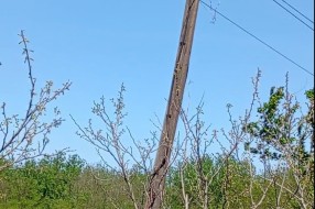 Drvena bandera samo što se ne sruši na put i kuću - Kelebija