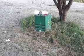 Molimo nadležne da košenje dečijih parkova odrade DO KRAJA!