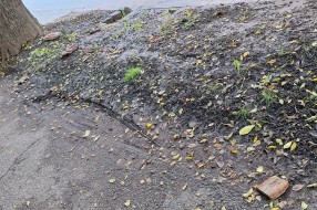 Opasno oronula kuća u širem centru grada, na Somborskom putu