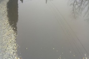 Pozdrav iz Koparske ulice