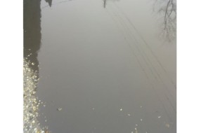 Pozdrav iz Koparske ulice