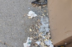 Svake godine isti ružan prizor! (smeće pored Pošte 1)