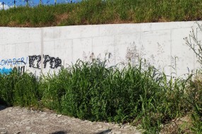 Majšanski most zapušten travom i rastinjem