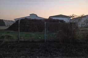 Uzasan smrad koji dolazi iz farme u Đurđinu