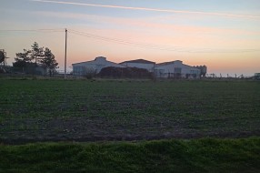 Uzasan smrad koji dolazi iz farme u Đurđinu