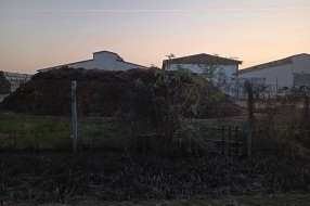 Uzasan smrad koji dolazi iz farme u Đurđinu
