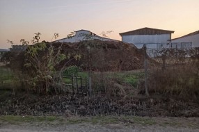 Uzasan smrad koji dolazi iz farme u Đurđinu