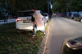 Parkiranje na travnjaku na Aleji