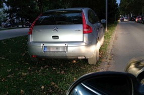 Parkiranje na travnjaku na Aleji