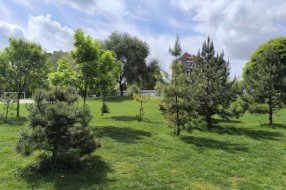 Košarkaški tereni u okviru OŠ ,,Sonja Marinković"