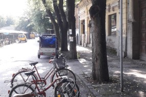 Zabranjen saobraćaj za bicikle na jednoj strani Mlečne pijace