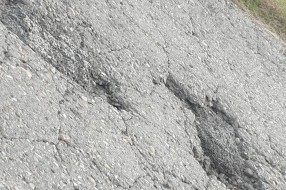 Put Stari Žednik - Đurđin prepun rupa, ozbiljno ugrožava bezbednost saobraćaja
