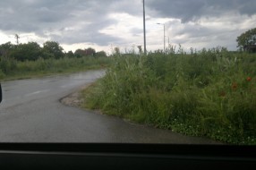 Kružni tok u korovu (Kireška i 51. divizije)