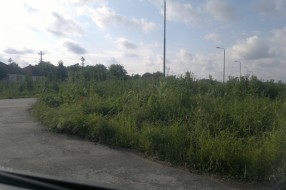 Kružni tok u korovu (Kireška i 51. divizije)