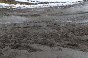 Blato do kolena na uglu ulica Jovana Mikića i Celjske