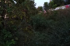 Zbog radova u glavnoj Lošinjskoj ulici mi iz sporedne ne možemo izaći