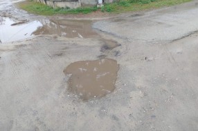 Problem sa vodom i rupama u Gošinoj ulici