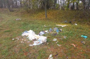 Bačen stari nameštaj i drugi otpad na Sivačkom putu