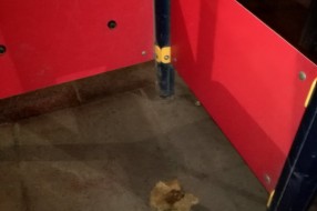 Igralište u centru grada izmazano fekalijama i povraćkom!