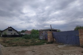 Nepokošena Jasibara rasadnik ambrozije