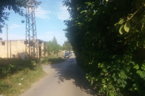 Granje "zarobilo" kolovoznu traku (raskrsnica Durmitorske i Bjelovarske ulice)