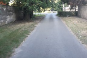 Potrebno skresati krošnje u Ulici Josipa Eugena Tomića