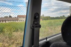 Polje ambrozije u Bajnatskoj ulici