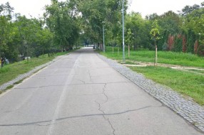 Izbledele razdelne linije na Bikovačkom putu