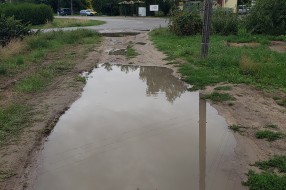 Katastrofalna situacija sa lokalnim putem i centrom naselja (Gornji Tavankut)