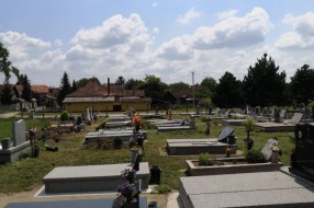 Zapušteno groblje na Paliću