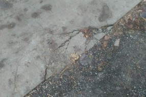 Slika i prilika aljkavog rada u Aleksandrovu
