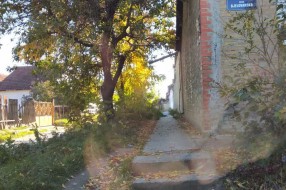 Rastinje na uglu Bjelovarske i Durmitorske ulice