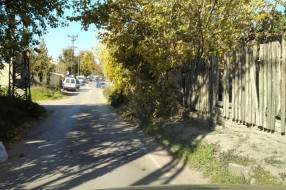 Rastinje na uglu Bjelovarske i Durmitorske ulice