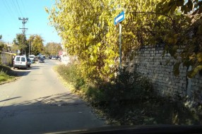 Rastinje na uglu Bjelovarske i Durmitorske ulice