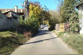 Rastinje na uglu Bjelovarske i Durmitorske ulice